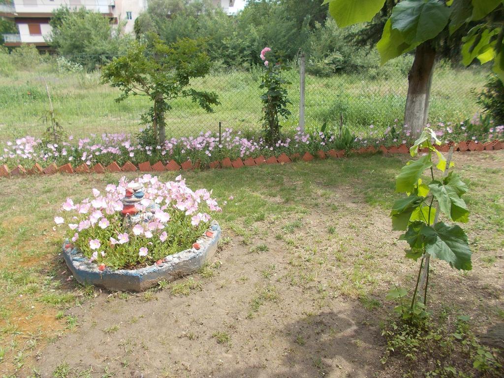 Drosia Apartments Asprovalta Dış mekan fotoğraf